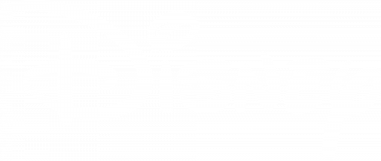 Brand Name : Disney